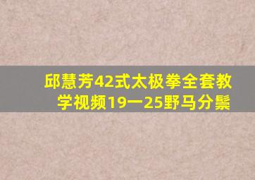 邱慧芳42式太极拳全套教学视频19一25野马分鬃