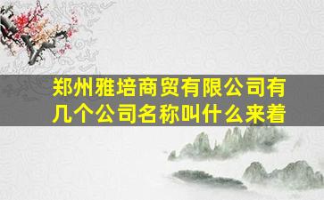 郑州雅培商贸有限公司有几个公司名称叫什么来着