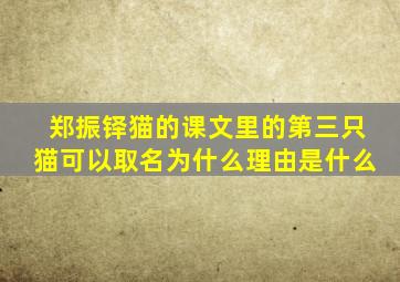 郑振铎猫的课文里的第三只猫可以取名为什么理由是什么