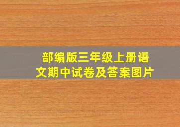 部编版三年级上册语文期中试卷及答案图片