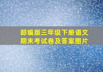 部编版三年级下册语文期末考试卷及答案图片