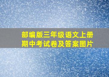 部编版三年级语文上册期中考试卷及答案图片