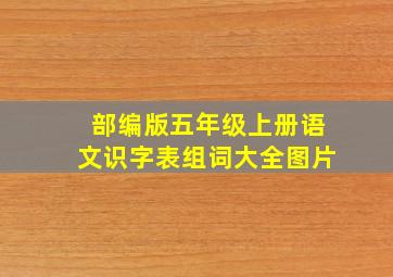 部编版五年级上册语文识字表组词大全图片