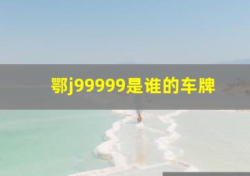 鄂j99999是谁的车牌