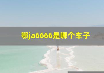 鄂ja6666是哪个车子