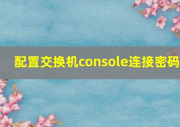 配置交换机console连接密码