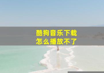 酷狗音乐下载怎么播放不了