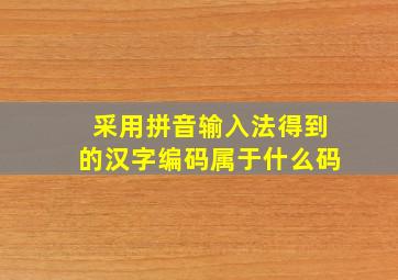 采用拼音输入法得到的汉字编码属于什么码