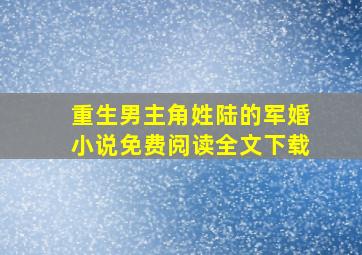 重生男主角姓陆的军婚小说免费阅读全文下载