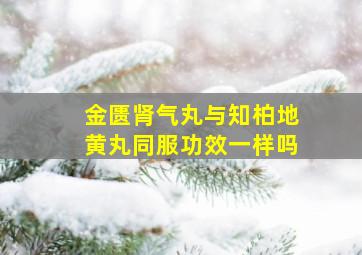 金匮肾气丸与知柏地黄丸同服功效一样吗