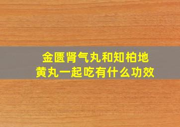 金匮肾气丸和知柏地黄丸一起吃有什么功效