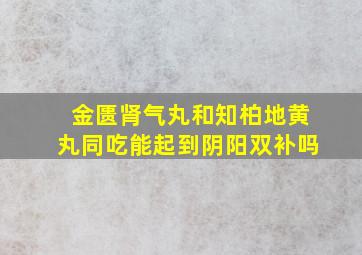 金匮肾气丸和知柏地黄丸同吃能起到阴阳双补吗