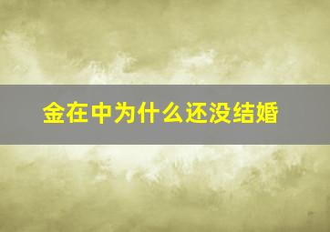 金在中为什么还没结婚