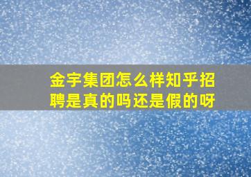 金宇集团怎么样知乎招聘是真的吗还是假的呀