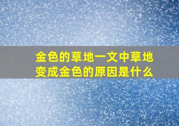 金色的草地一文中草地变成金色的原因是什么