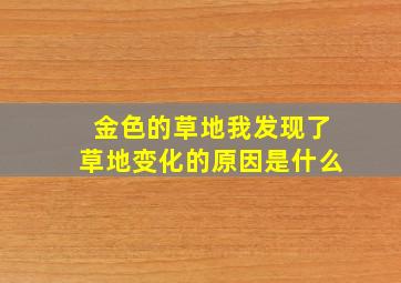 金色的草地我发现了草地变化的原因是什么