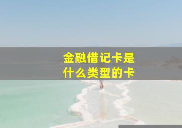 金融借记卡是什么类型的卡