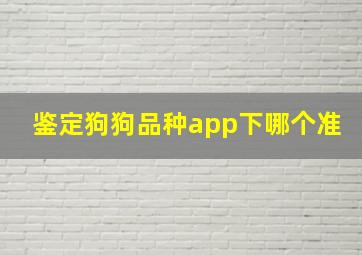 鉴定狗狗品种app下哪个准