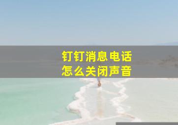 钉钉消息电话怎么关闭声音