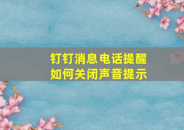 钉钉消息电话提醒如何关闭声音提示