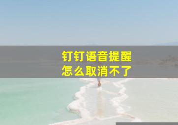 钉钉语音提醒怎么取消不了