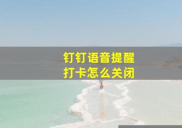 钉钉语音提醒打卡怎么关闭