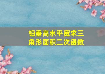 铅垂高水平宽求三角形面积二次函数