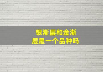 银渐层和金渐层是一个品种吗