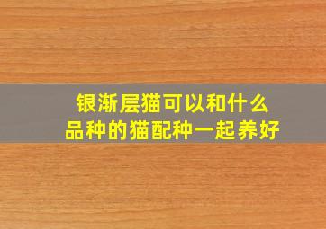 银渐层猫可以和什么品种的猫配种一起养好