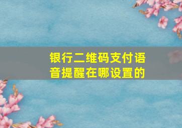 银行二维码支付语音提醒在哪设置的