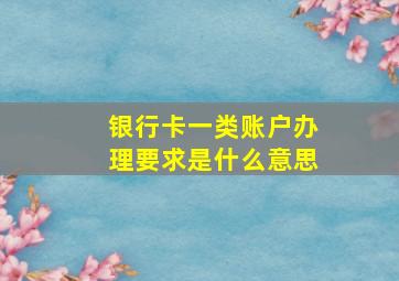 银行卡一类账户办理要求是什么意思