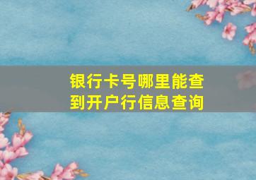 银行卡号哪里能查到开户行信息查询