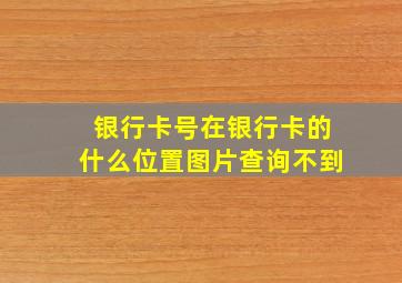 银行卡号在银行卡的什么位置图片查询不到