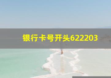 银行卡号开头622203