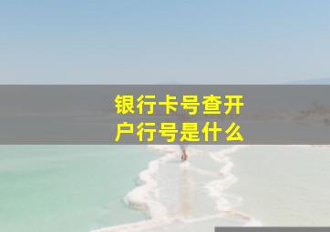 银行卡号查开户行号是什么