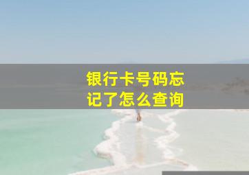 银行卡号码忘记了怎么查询