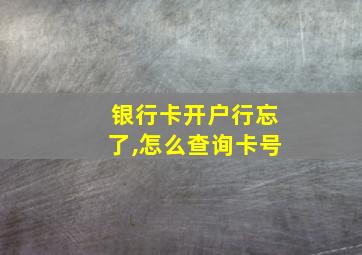 银行卡开户行忘了,怎么查询卡号