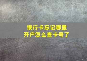 银行卡忘记哪里开户怎么查卡号了