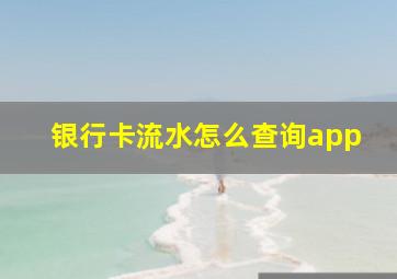 银行卡流水怎么查询app