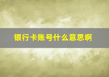 银行卡账号什么意思啊