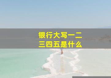 银行大写一二三四五是什么