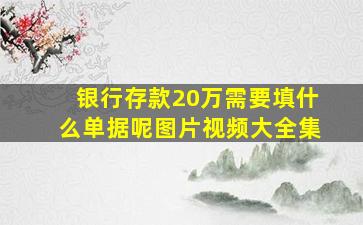 银行存款20万需要填什么单据呢图片视频大全集