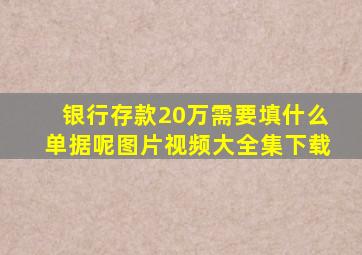 银行存款20万需要填什么单据呢图片视频大全集下载