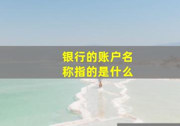 银行的账户名称指的是什么