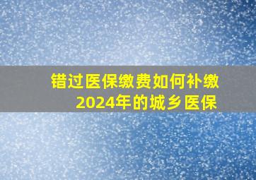 错过医保缴费如何补缴2024年的城乡医保