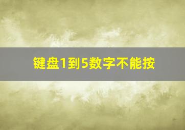 键盘1到5数字不能按