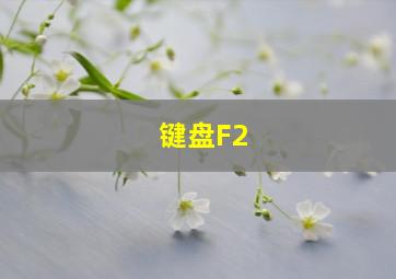 键盘F2