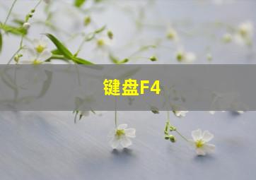 键盘F4