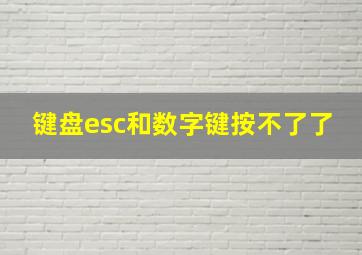 键盘esc和数字键按不了了