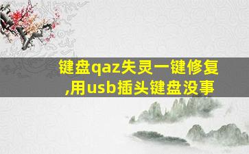 键盘qaz失灵一键修复,用usb插头键盘没事